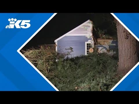 Redmond residents work together after bomb cyclone damage