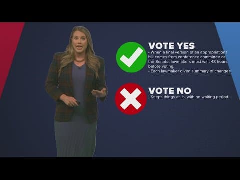 Constitutional Amendment 2 would require waiting period for budget bill votes