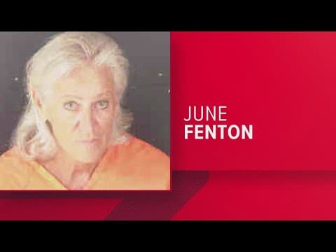 Arrest made in hit-and-run that killed 2 young kids, critically injured mom