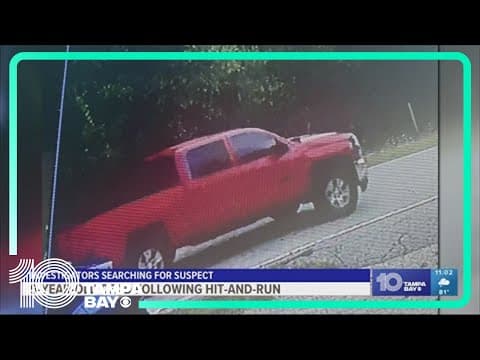 Polk County deputies: Hit-and-run crash leaves 9-year-old boy dead in Fort Meade