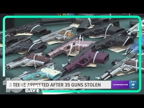 3 teens accused of breaking into Brooksville business and stealing 35 guns