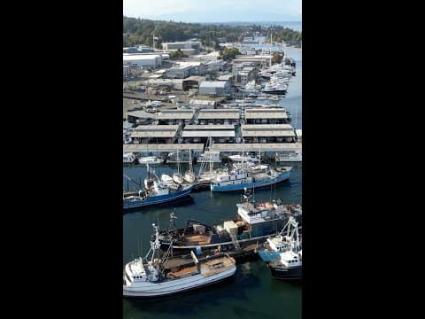 Port of Seattle to close 3 docks at Salmon Bay Marina