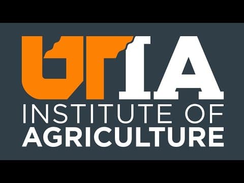 USAID cuts could impact some University of Tennessee programs