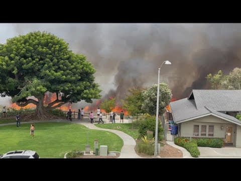 Carlsbad police arrest man connected to starting brush fire near Buena Vista Lagoon