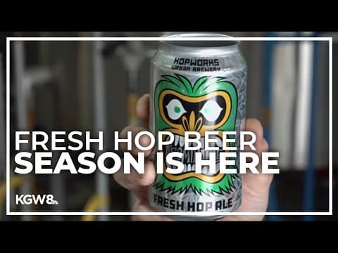 Oregon brews create specialty beers for fresh hop beer season