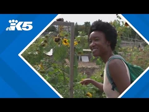 Do you have extra produce from your garden? Food banks would love a donation