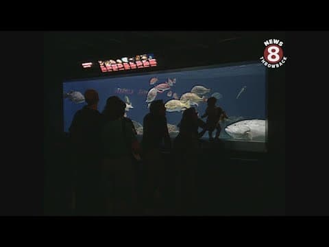 Birch Aquarium opens at Scripps Institution of Oceanography in 1992