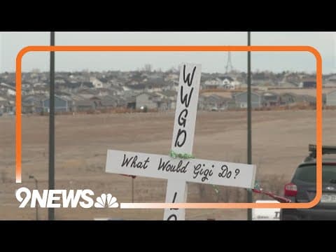 Denver Police searching for driver in hit and run that killed Longmont grandmother