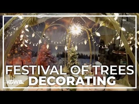 Safeway Providence Festival of Trees begins decorating