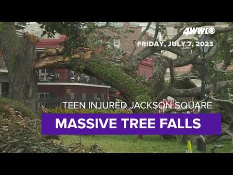 Massive tree branch lands on teen in New Orleans' historic Jackson Square