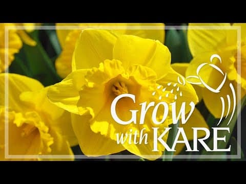 Grow with KARE: Early spring flowers
