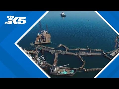 Washington bans commercial net pen fish farming after 2017 disaster