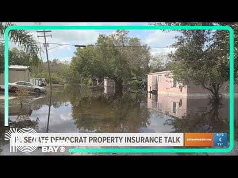 Florida's democratic leaders to lead town hall on property insurance
