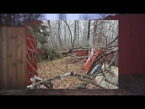 Tree from Fairfax County park falls on man’s home