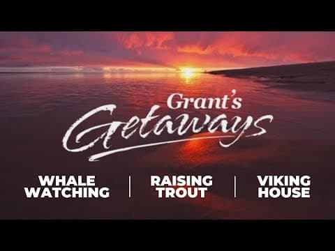 Grant's Getaways: Coastal whales, cockles and outdoor lessons
