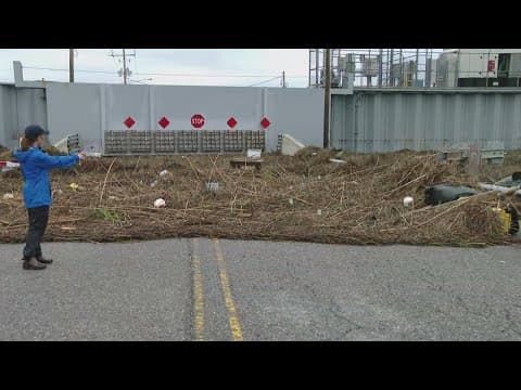 Francine Aftermath: Update from Cocodrie Outside the Levees