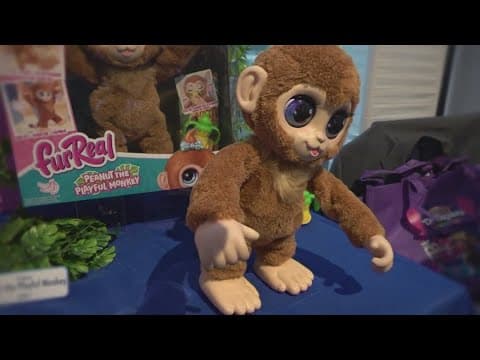 What will be the top toy this Christmas? Here's what experts say