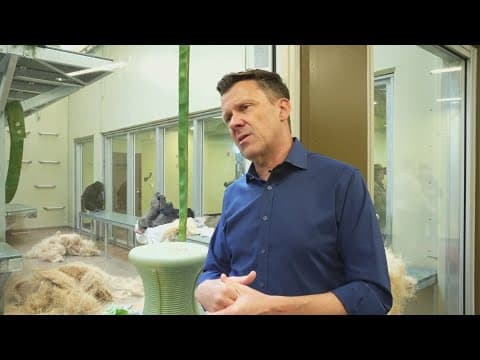 Indianapolis Zoo president bitten by chimpanzee during feeding incident