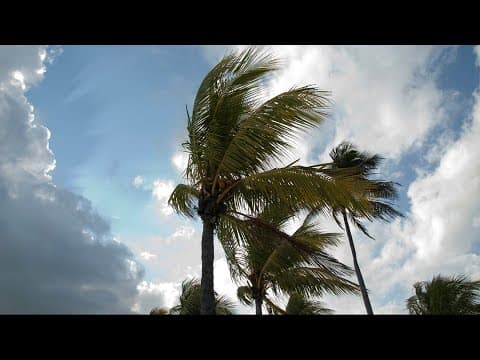 LIVE RADAR | Showers, storms pop-up across Tampa Bay area