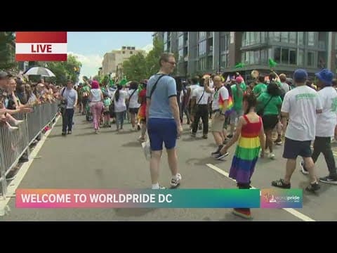 'Community coming together' | WorldPride attendees share why they traveled cross country for parade