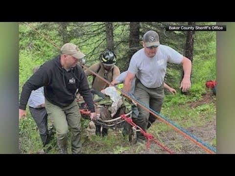 Dog runs four miles to save owner