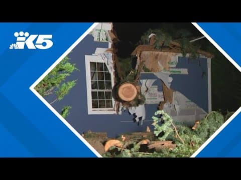 Crews scrambling to clean up trees and restore power