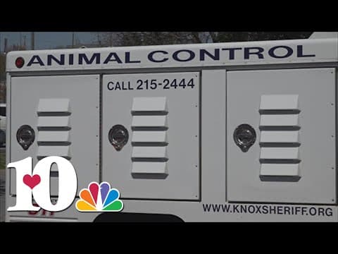 How Young Williams Animal Center taking over animal control services may impact community