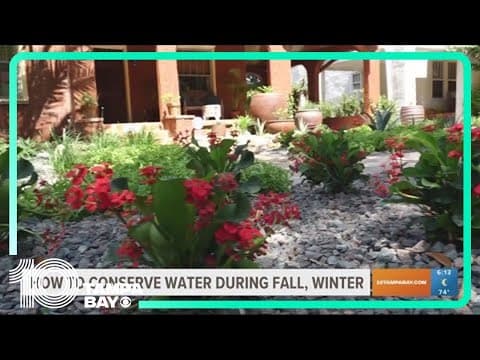 Conservationists give advice on saving water in Fall and Winter