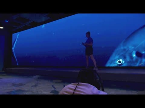 Audubon Aquarium to close Wednesday for hurricane preparations