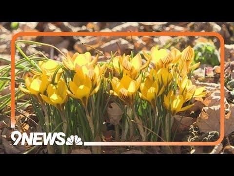 Getting your garden prepared for spring