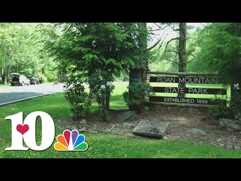 One Tank Trips: Exploring beautiful spots in Roan Mountain