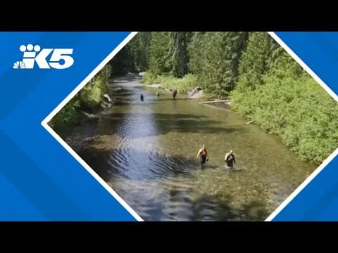 FBI confirms bones found near campground where Travis Decker's daughters were discovered