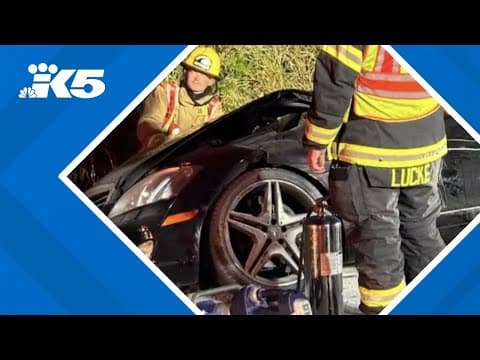 Police pursuit ends in crash in Monroe