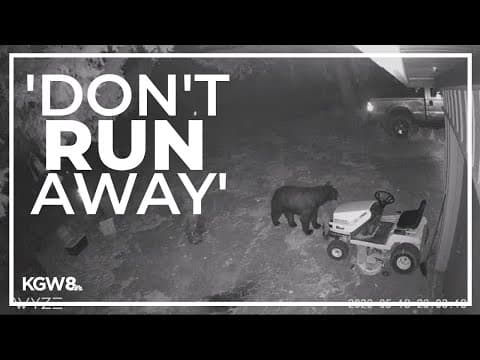 ODFW confirms more bear sightings in and around Forest Park