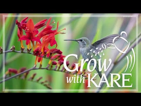 Grow with KARE: New year, new zone - Part 1