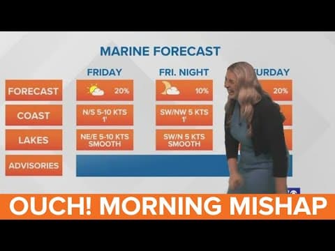 Ouch! Anchors lose it on air after meteorologist bangs head on wall