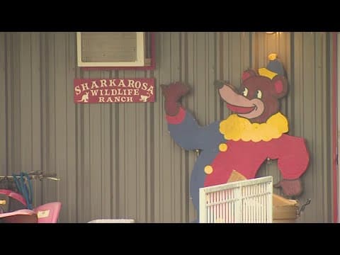 Zoo in North Texas damaged in recent storms