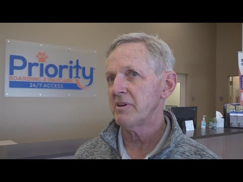 Concerned pet owners worried over mystery respiratory disease in dogs