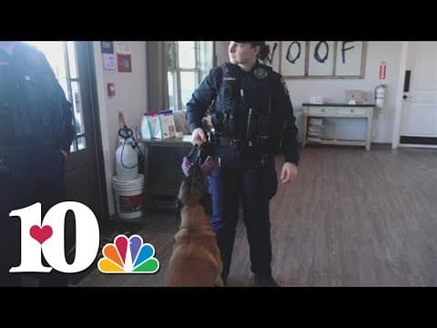 Blount County K9 Association hosting fundraiser this weekend