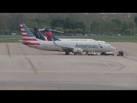 Columbus airport officials looking at wildlife hazard management after bird strike