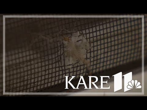 Minneapolis man reconsiders home of 20 years after partner struck by stray bullet