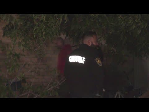 Woman believed to be victim of dog attack after son found her body near bayou with bite marks