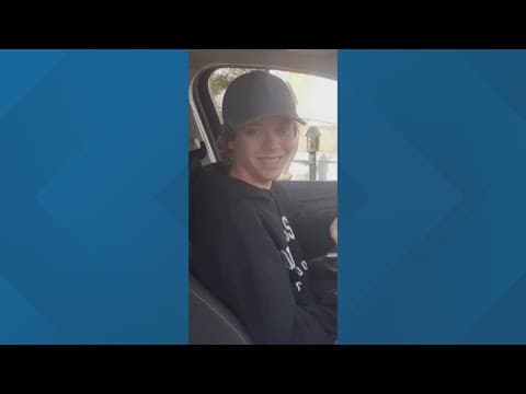 Mother of Logan teen who took his own life condemns bullying as students protest