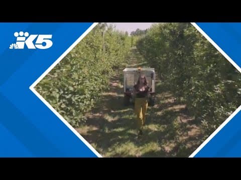 Innovative tech lending library transforms farming in Snohomish County