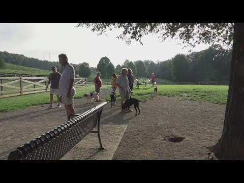 Beverly Barkers group unites people and pets in North Knoxville