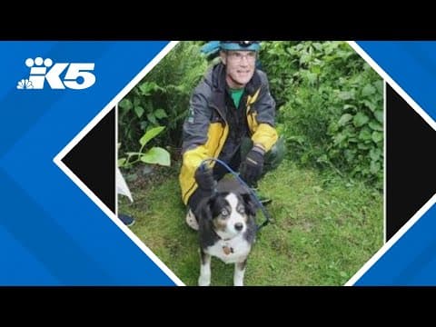 Rescue crews in Snohomish County went on daring mission to save dog trapped in bog