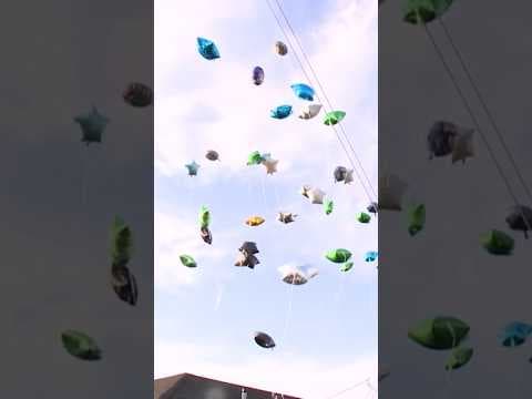 Vigil held for child killed in hit-and-run