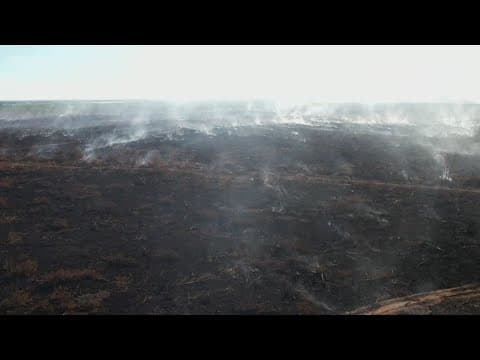 Monthlong marsh fire finally extinguished, NOFD says