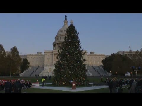 WATCH LIVE: Capitol Christmas Tree Lighting