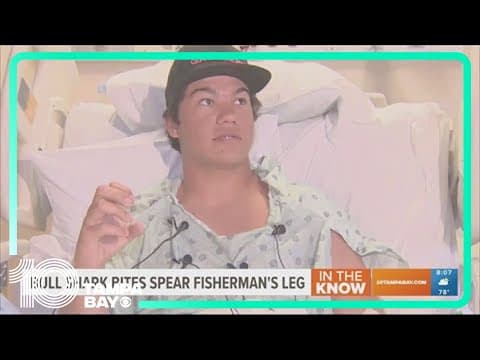 Bull shark bites fisherman in the leg